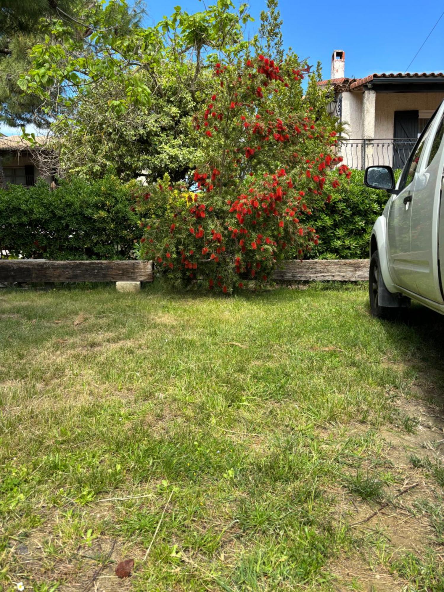 Apartament Les Flo Location Aigues-Mortes Zewnętrze zdjęcie